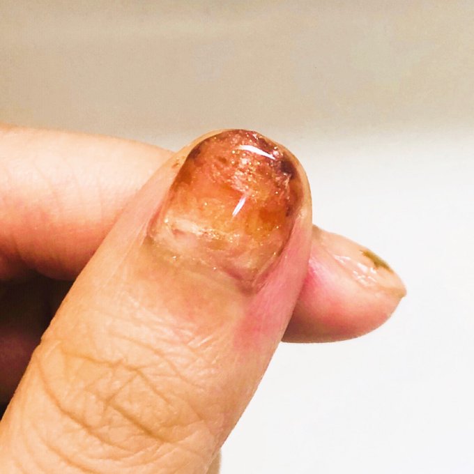 サンセットのtwitterイラスト検索結果