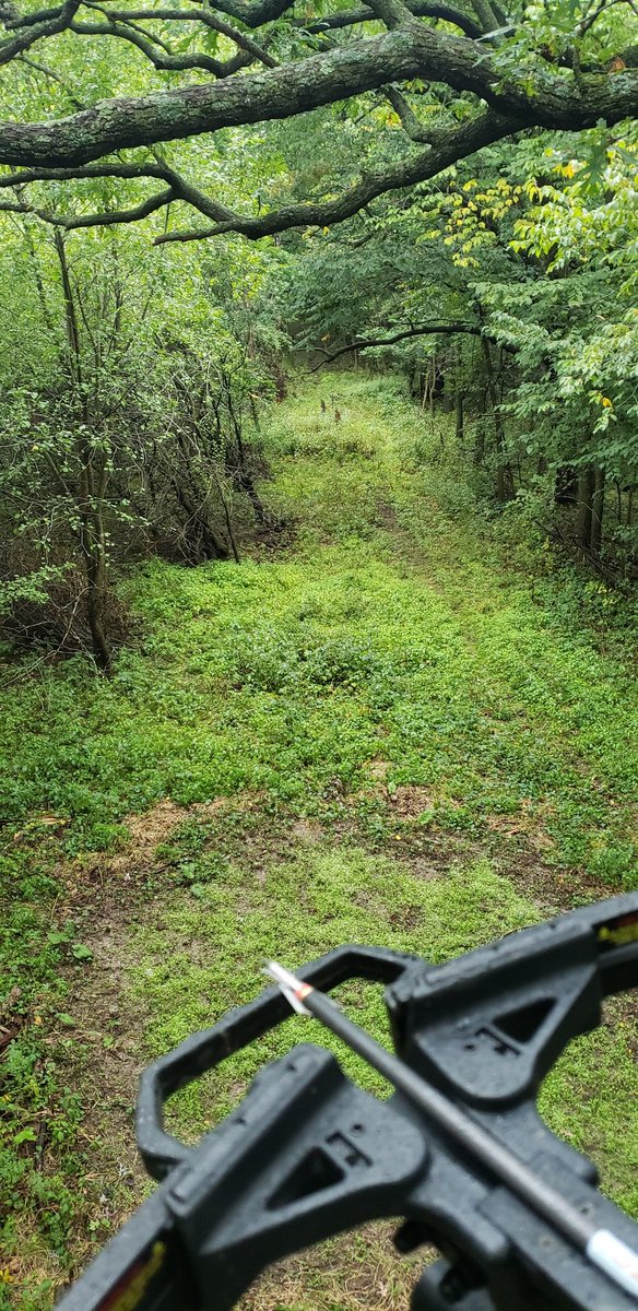 brewfan08's tweet photo. @TheQDMA WISCONSIN https://t.co/ccK7MwmSpf