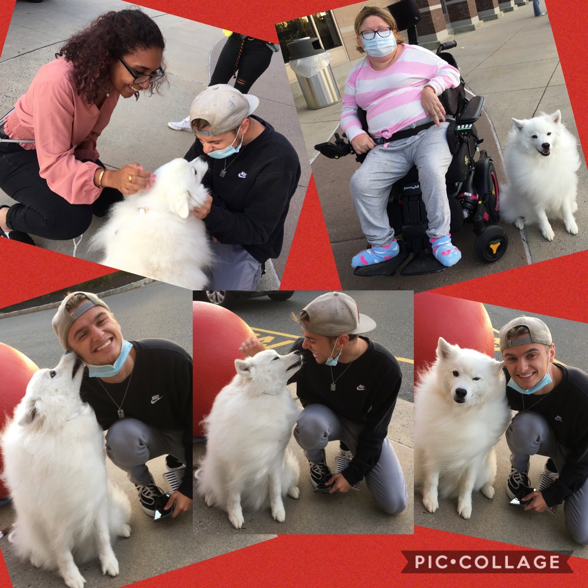 Mommy allowed me to have new, but safe, experiences w/ strangers by just asking them to sanitize their hands first before petting me while we stood in front of Target.

I was clearly smitten w/ 1 of my new friends today, and it was mutual 😍. 

I'm a great Eskie Ambassador!