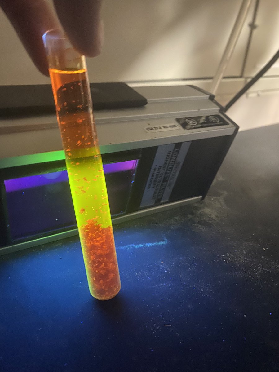 Sara McCormack tweet media