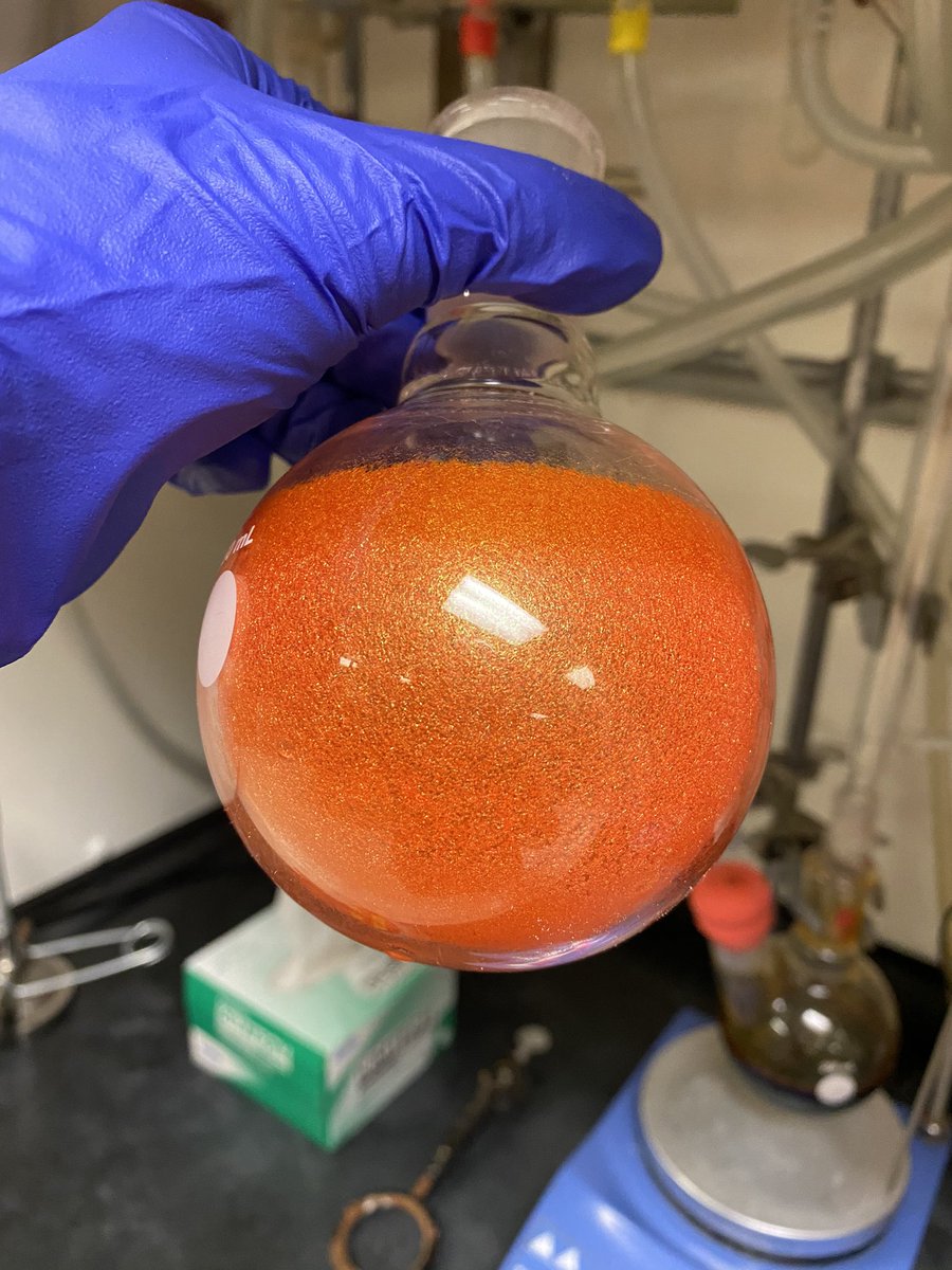 Sara McCormack tweet media