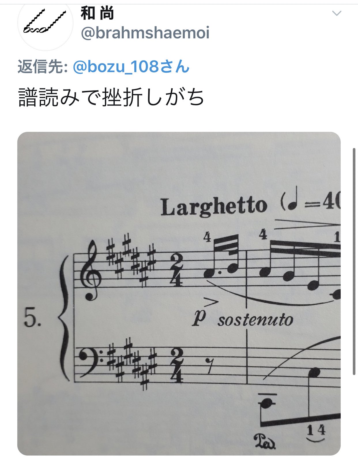 坊主 على تويتر ピアノやってる人しか分からない 金賞 猫踏んじゃった が弾けない 入選 暇な時に机でエアーピアノしがち 辻井伸行さんは凄い 何でもひけるわけじゃない 早けりゃ上手いってもんじゃない 荒削りなハイテンポより 丁寧なローテンポの方が倍難しい まら