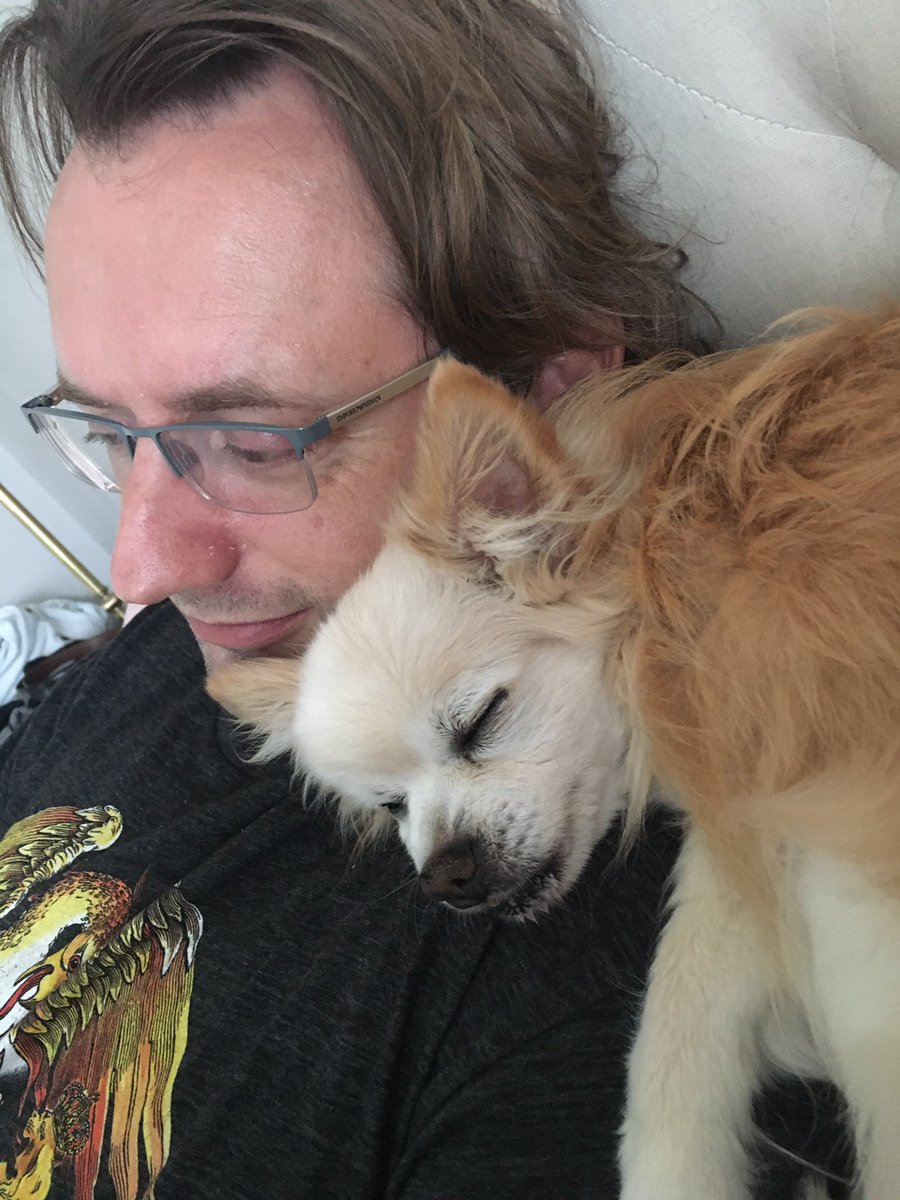 MicheleHelmink's tweet photo. Jack really, really loves him!! #usedtobemydog https://t.co/REgPSgoGEn
