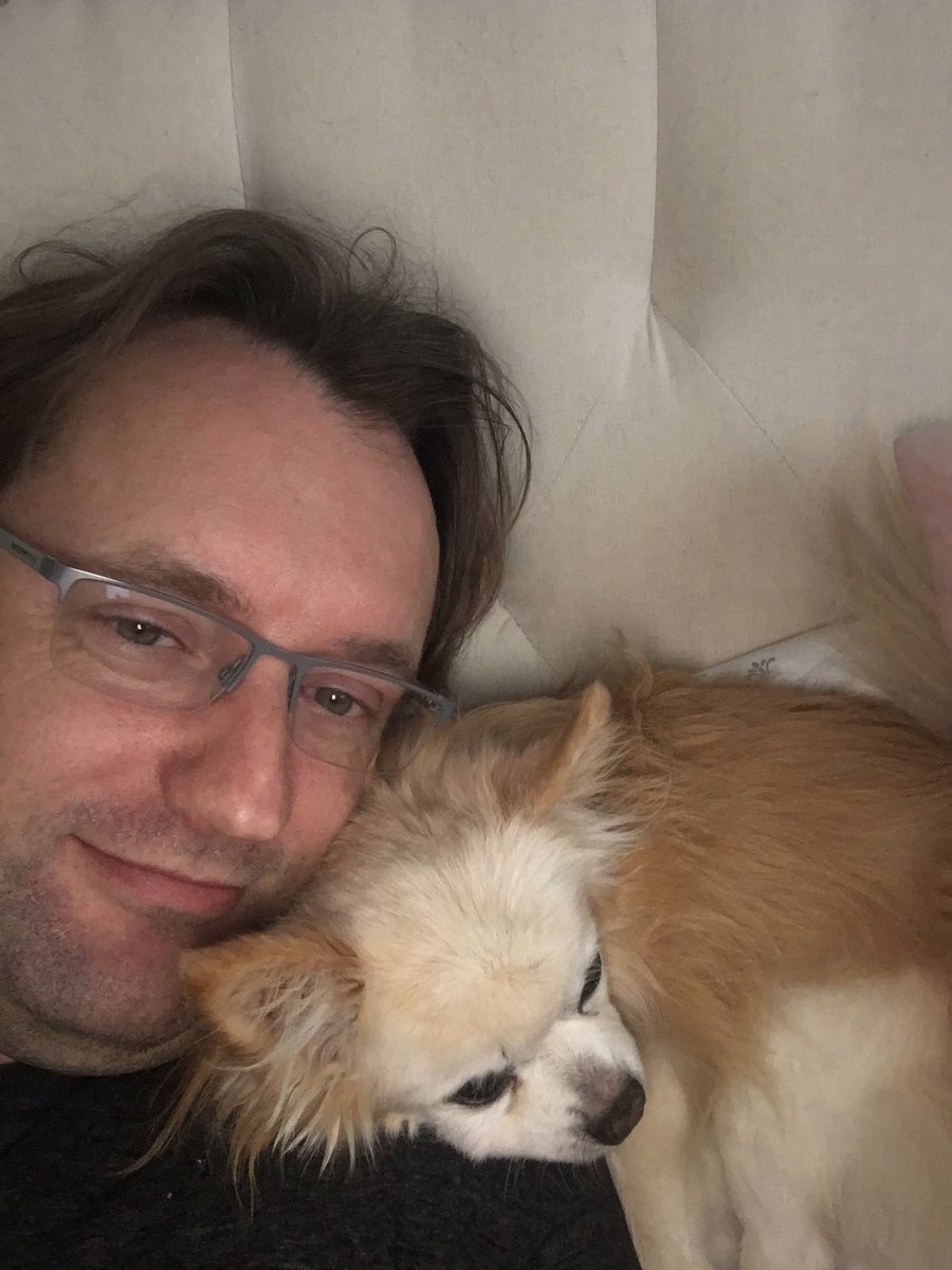 MicheleHelmink's tweet photo. Jack really, really loves him!! #usedtobemydog https://t.co/REgPSgoGEn