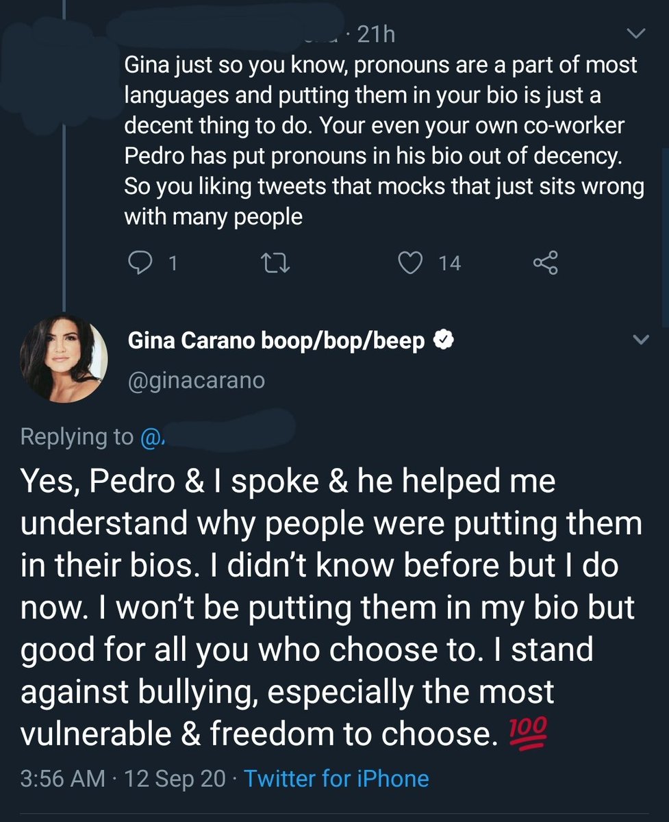 So, Gina Carano spoke to Pedro Pascal who explained pronouns and why people have them in their names and Gina decided to mock that. She really is trash. 