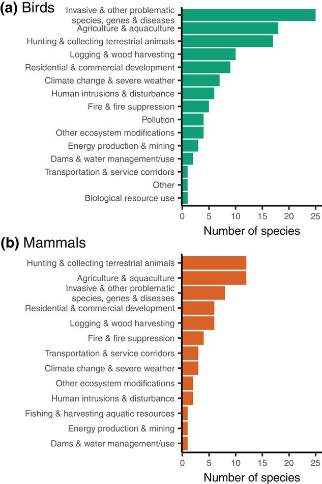 Bea Maas 🐦🦇🌳 tweet media