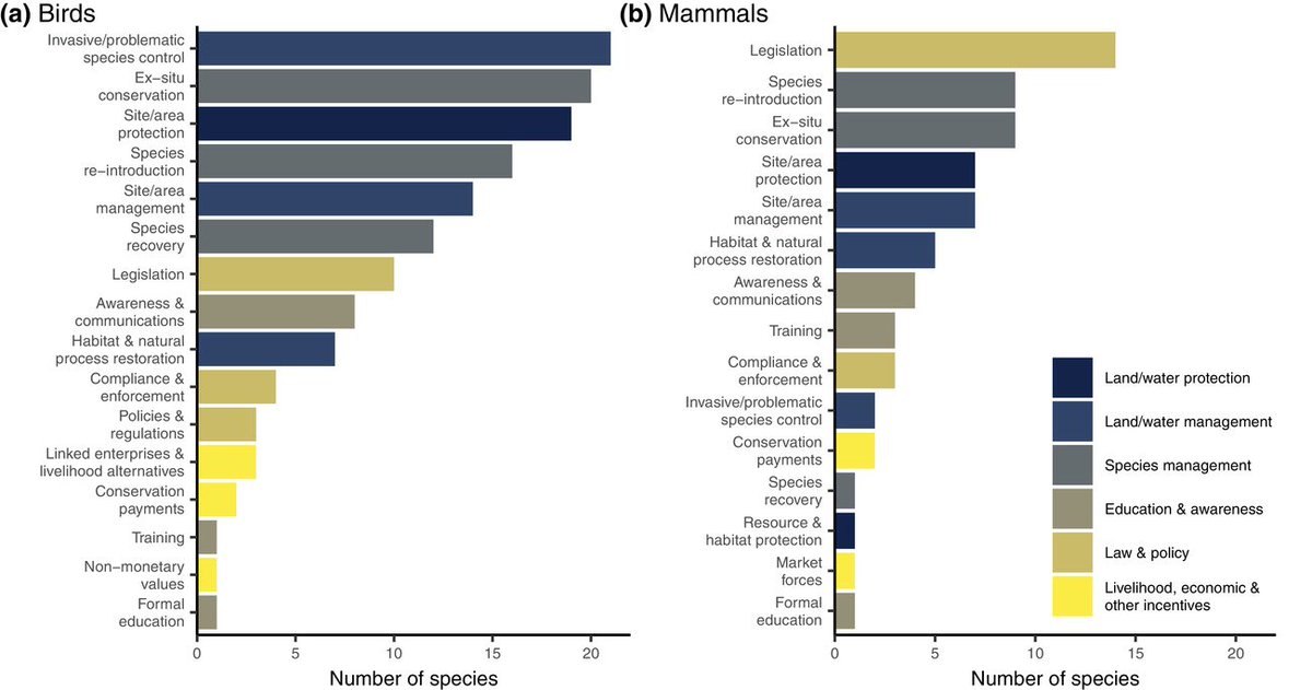 Bea Maas 🐦🦇🌳 tweet media