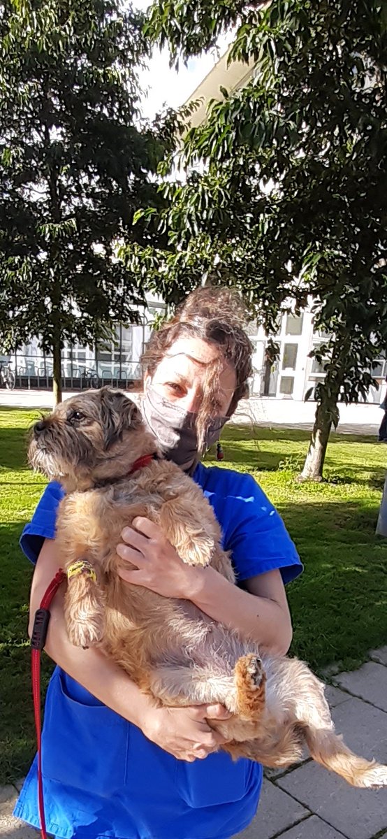 HollyPollyDBT's tweet image. Mummy has posted a photo of me with my favourite vet at the Dick Vet School, she was lovely, she always gave me tummy rubs.🥰🐾
Mummy is worried about the large bill the vets have sent her, could you please help her😢

paypal.me/pools/c/8rjChM…