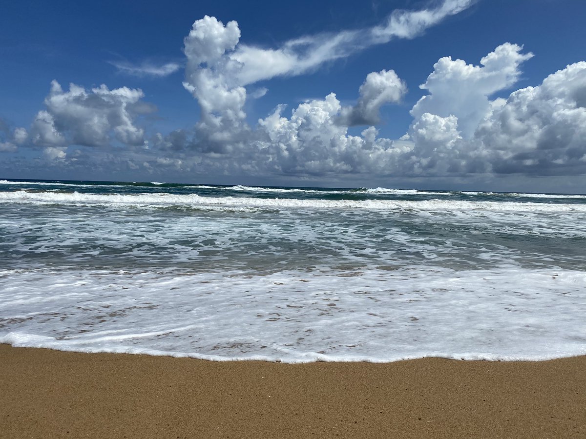 Vijaykulange's tweet photo. Gopalpur beach.. pollution free beach with green blue scenery. Hope very soon tourists will start enjoying its scenery. @odisha_tourism https://t.co/Yvr71SLFoq