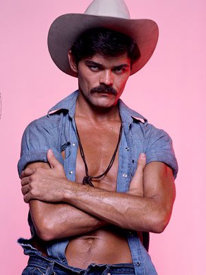 Happy 68th Birthday to Randy Jones - better known as the Cowboy from the Village People! 