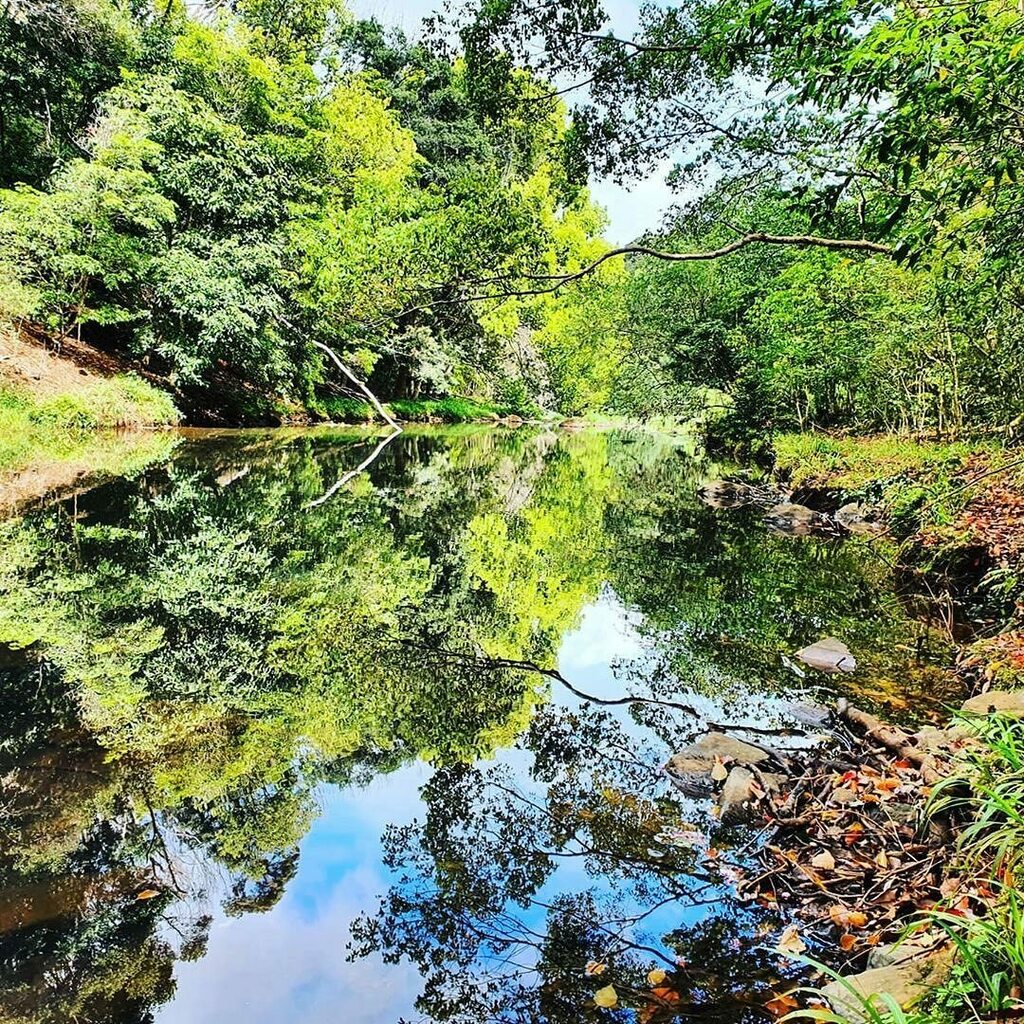 byronbay's tweet photo. Explore the Byron region... Looking lush Killen Falls. π· @gats2300 #byronbay #killenfalls https://t.co/3XVJ6MwlZL https://t.co/WAfQQpTF7t