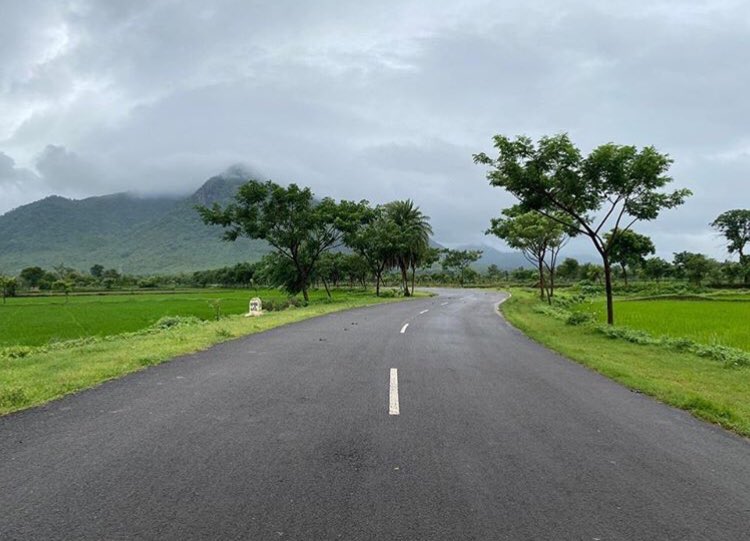 Amar_BhPatna's tweet photo. Enroute to Kalampur...
This route has some of the most amazing views to offer, from a number of C, V, S bends to beautiful farm lands and high mountains of Karlapat WLS.
Drive through rainy season has it’s own charm...
P.C. Swastik Kumar Dash

#kalampur
#kalahandi https://t.co/gXNTAMaVny