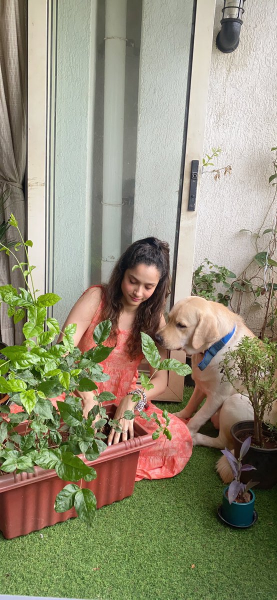 murphybilgiler's tweet photo. Hatchi and mamma 😍
My partner In almost everything ❤️
Planting plants 🌱 
It’s our way to remember him by fulfilling his dream ❤️
#plants4SSR @shwetasinghkirt @jainvick @vikirti @_mallika_singh https://t.co/vvr2TJkEfb