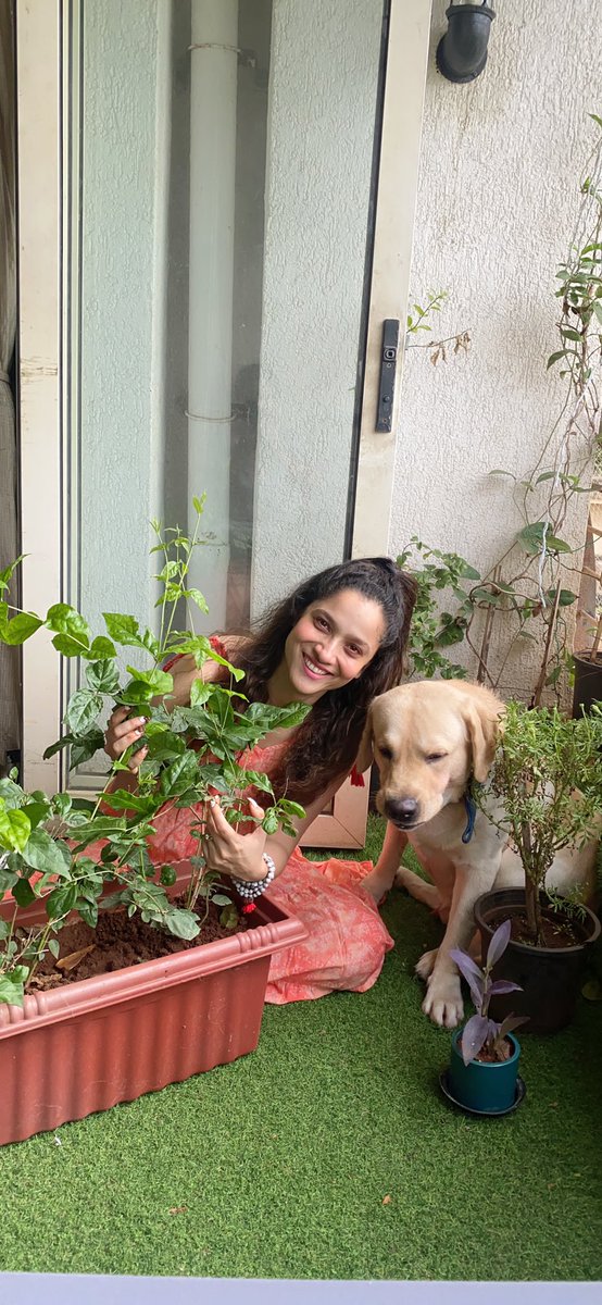 murphybilgiler's tweet photo. Hatchi and mamma 😍
My partner In almost everything ❤️
Planting plants 🌱 
It’s our way to remember him by fulfilling his dream ❤️
#plants4SSR @shwetasinghkirt @jainvick @vikirti @_mallika_singh https://t.co/vvr2TJkEfb