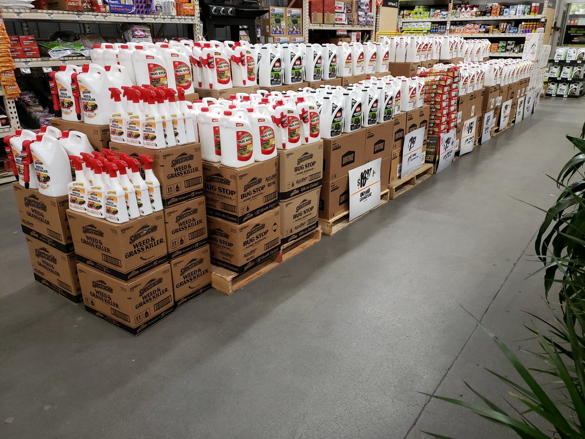 BrandonM_ThD tweet media