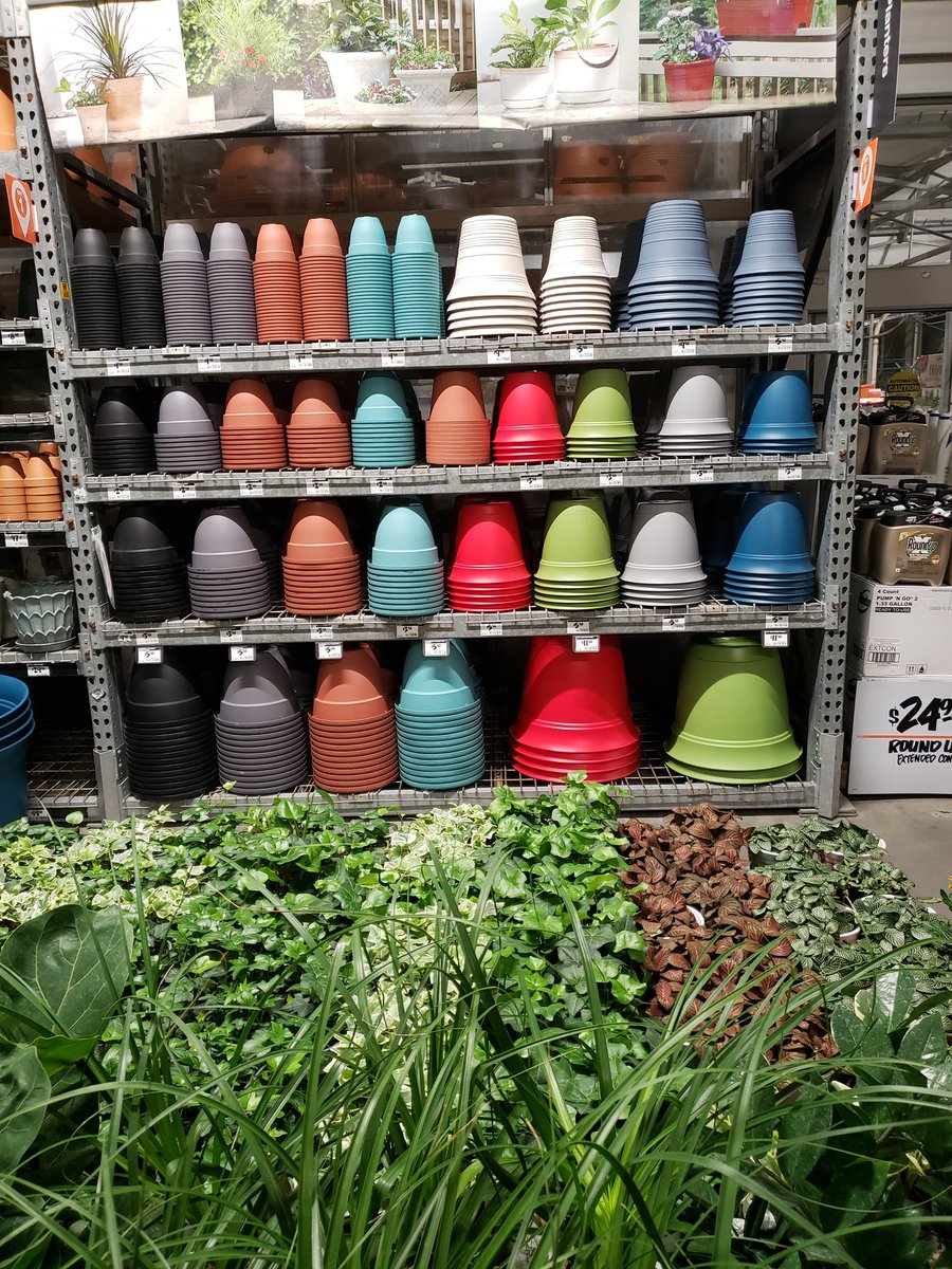 BrandonM_ThD tweet media