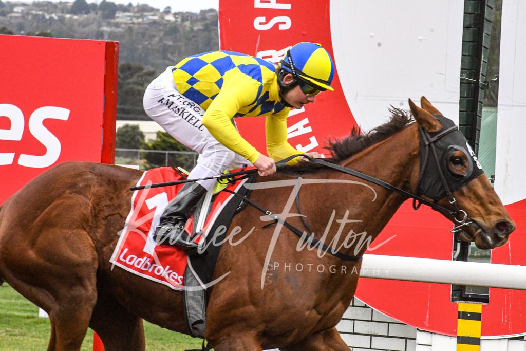 Race 4 at Devonport 
Stinchar @ Fairlands Stud - BM74 

Winner : White Hawk 
Jockey : K.Maskeill 
Trainer : A.Brakey