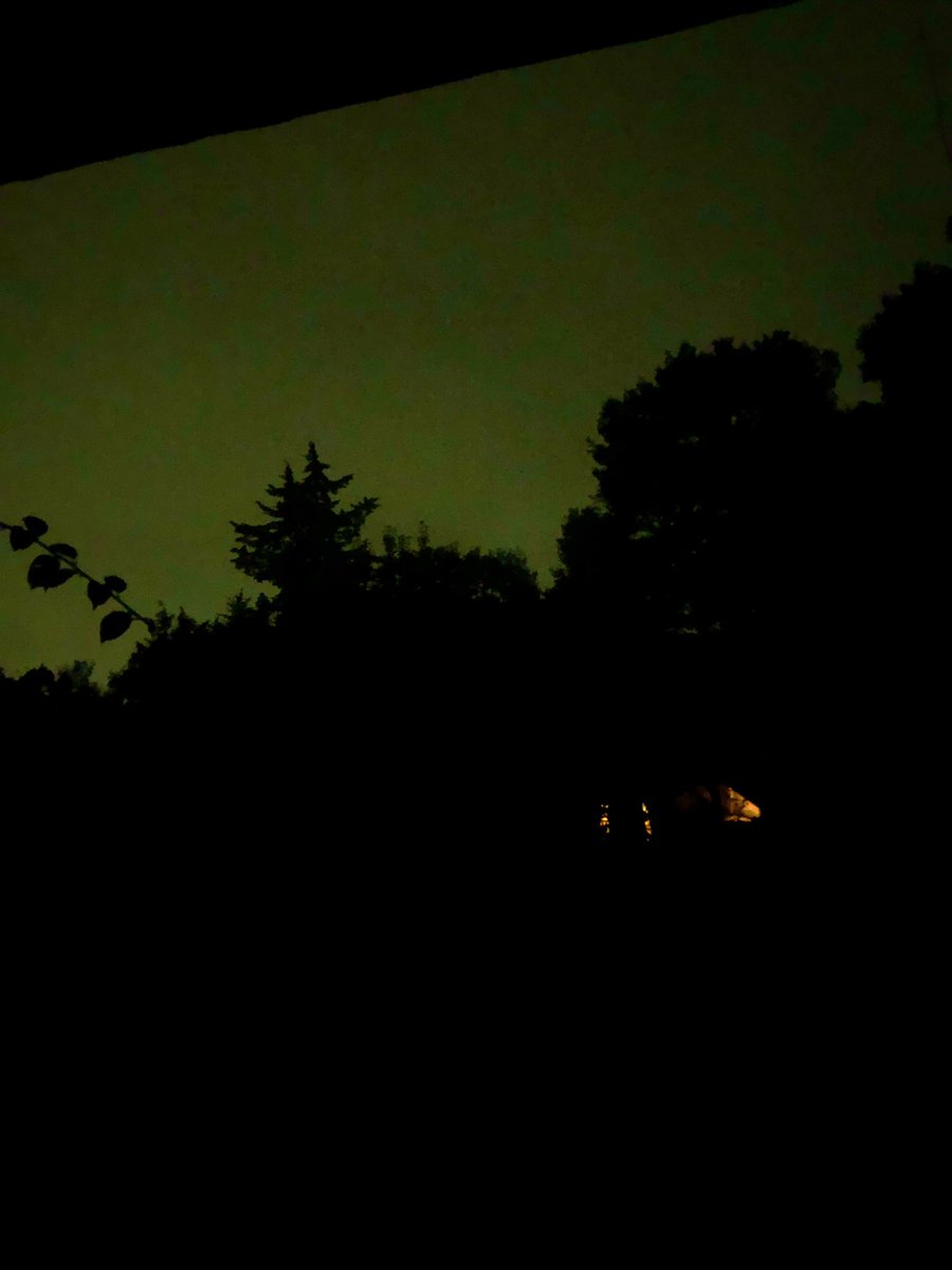 RoooRmz's tweet photo. #Día180 Primera noche en la casa del bosque. https://t.co/Agr6KwppX8