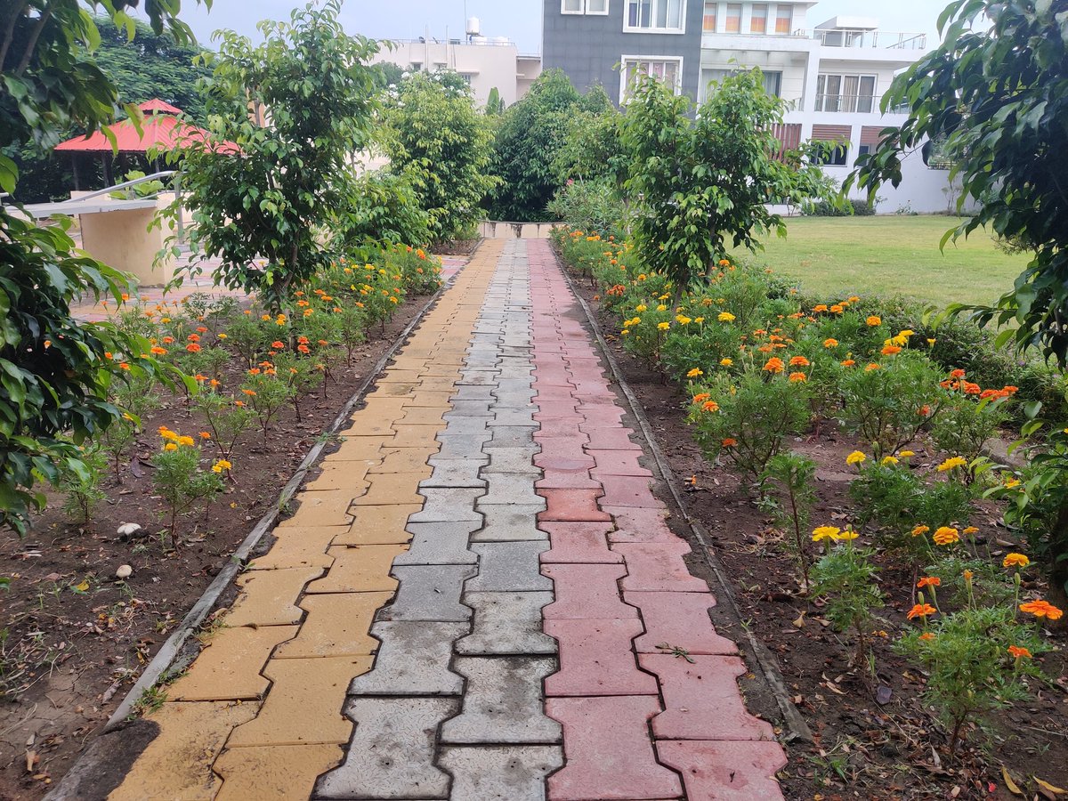 Piyushhkg's tweet photo. #Plants4SSR
I planted these plants 20 days ago..
They r blooming now..i dedicate all these plants to our beloved Sushant.
#SSRFAN
@anky1912 @shwetasinghkirt @biharigurl @PoddarVaishali @TajinderBagga @Army_brat1 @UnbiasedSecular https://t.co/WxBNpnn8nD