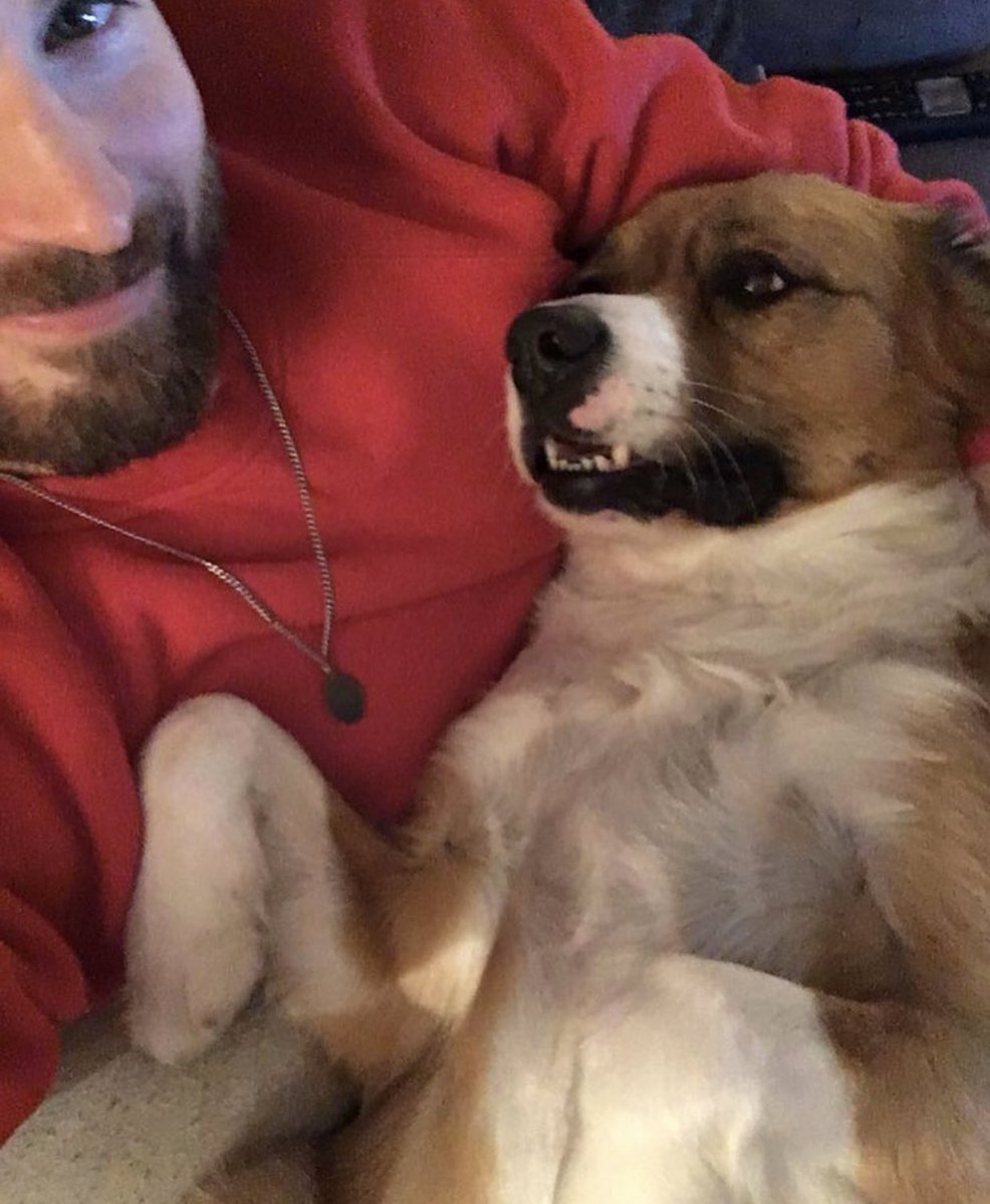 CEvansNews's tweet photo. Chris Evans and Dodger ❣️ https://t.co/Quy9LUDhZN