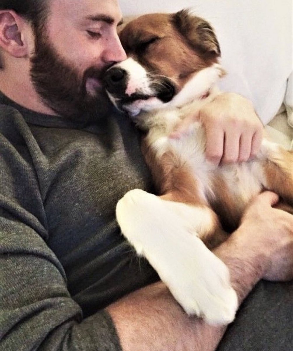 CEvansNews's tweet photo. Chris Evans and Dodger ❣️ https://t.co/Quy9LUDhZN