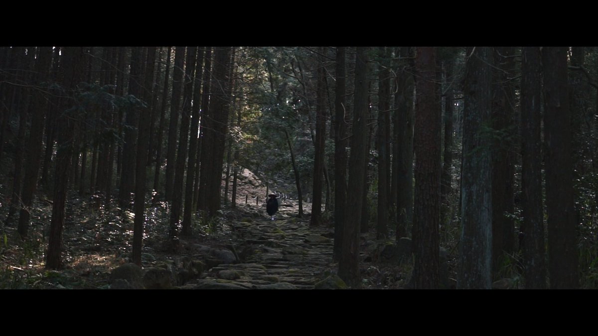 tonocinema's tweet photo. 「中山道　琵琶峠」

美濃の中山道十六宿の中で1番高い峠です。全長約730ｍに渡って石畳が敷かれており、日本一の長さと言われています。
歴史ある道を歩いてみてください！

https://t.co/d6GVYqlVnz https://t.co/DA3cOl8sj5