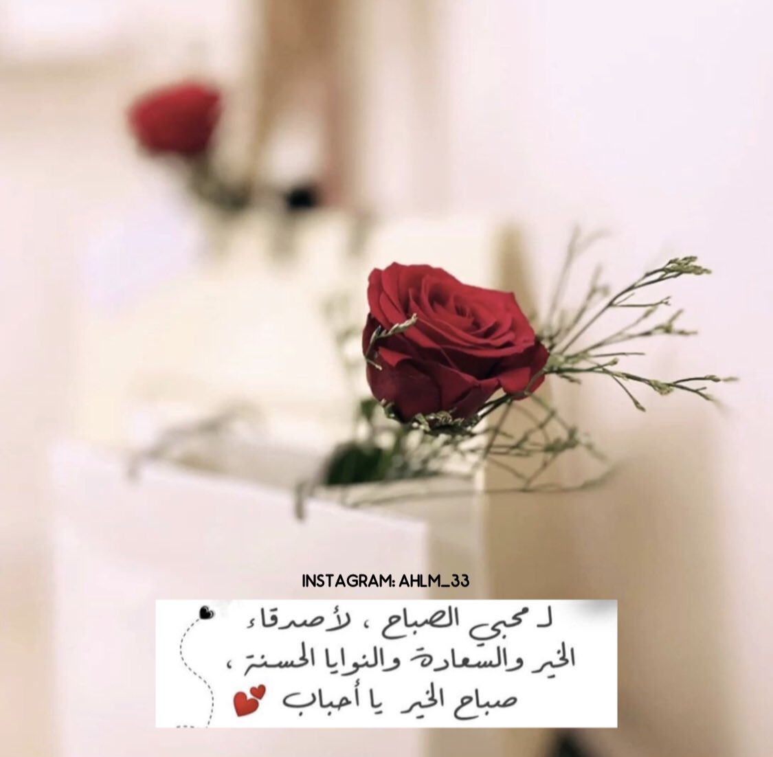 #صباح_الخير