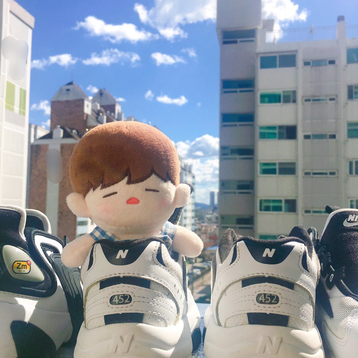 따뜻한 햇살 아래 뭉이❣️

#짼뭉이 #김재환인형