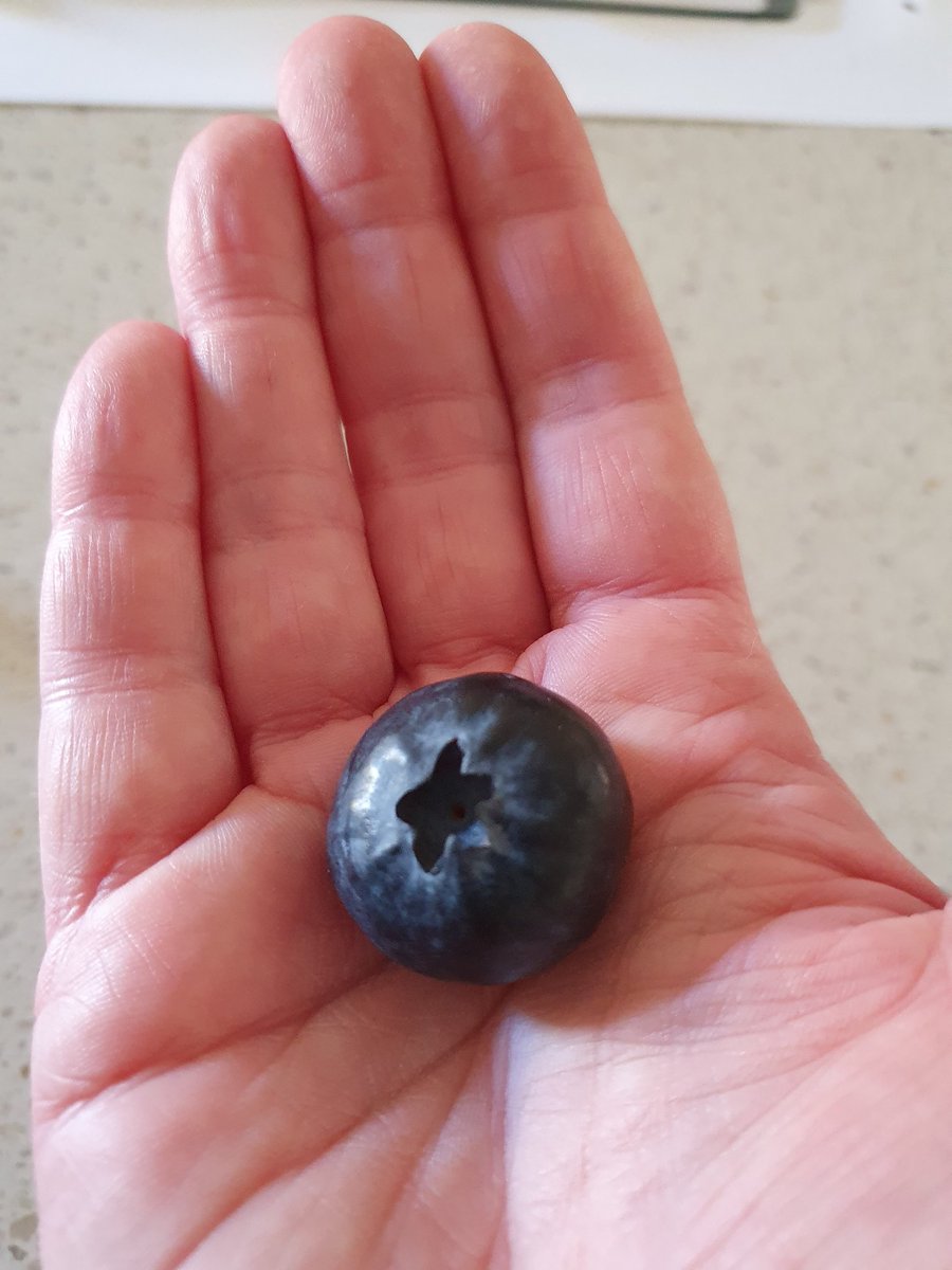 heart_nerd's tweet photo. It's big fruit season again! #iloveWA https://t.co/bFbUYT56G2