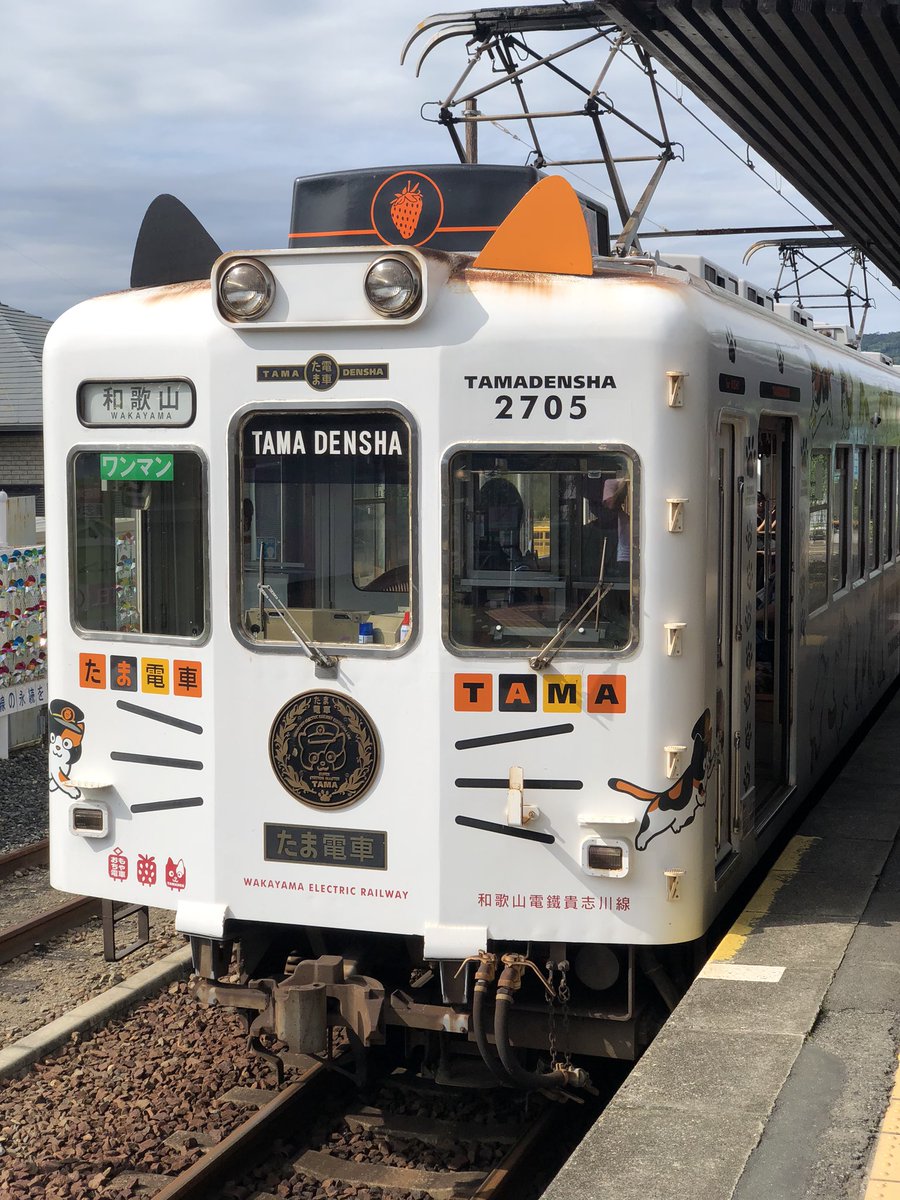 _YPY_'s tweet photo. 貴志駅だニャン https://t.co/oDOfE2riSS