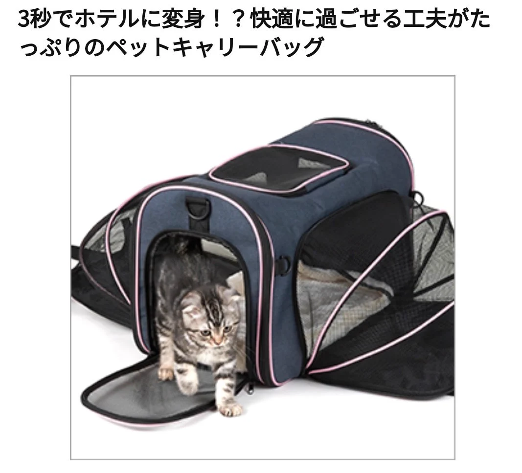 amazonで買ったペットキャリーバックがおすすめ！必要に応じて広げられる！