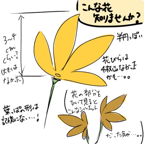 【ゆるぼ】
こんな感じの、花の名前をどなたかご存じないでしょうか……?
昔ホームセンターで購入したのですが、記録が残っておらず忘れてしまいました。。
「こんな感じ」としか言えないくらい記憶が曖昧なのですが、
変わった形の花だったことは強く覚えていて、名前が知りたいと思っています。