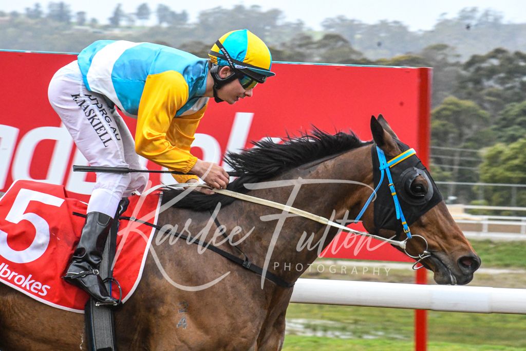 Race 6 at Devonport 
Tasmanian Horse Transport 

Winner : Don Is Good 
Jockey : K.Maskiell 
Trainer : T &amp; K Hanson