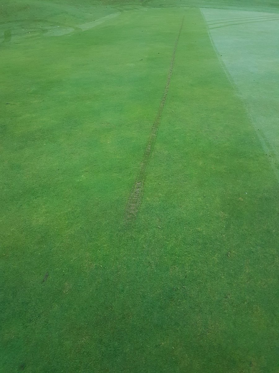 greenkeeperdave's tweet photo. Motorbike damage is always on a Sunday morning , it'll grow back in no time , cheers Mr Twat whoever you are #superproblems #greenkeeper #greenkeeping #birmingham #birminghamuk #westmidlands #brum #brumhour https://t.co/0QClGQDpZo