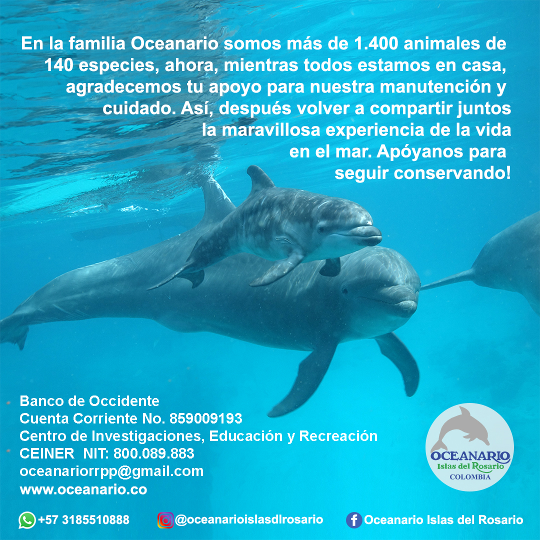 Oceanario continuamos en cuarentena:
Agradecemos a todos por apoyarnos! 
Dona aqui con PayU $ 1.000.000
biz.payulatam.com/L0cb795E8263253