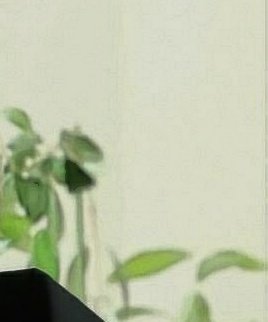 * ( ☁️☁️☁️☁️ )
        
            อุ๋งอิ๋ง อินจุน 
      แลกฟอล 𓐄 ตามทัก

: ยพท ลฟตท 📷