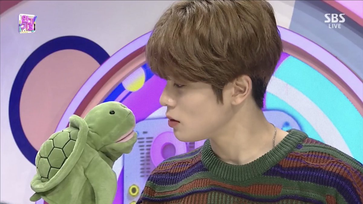 풀잎 tweet media