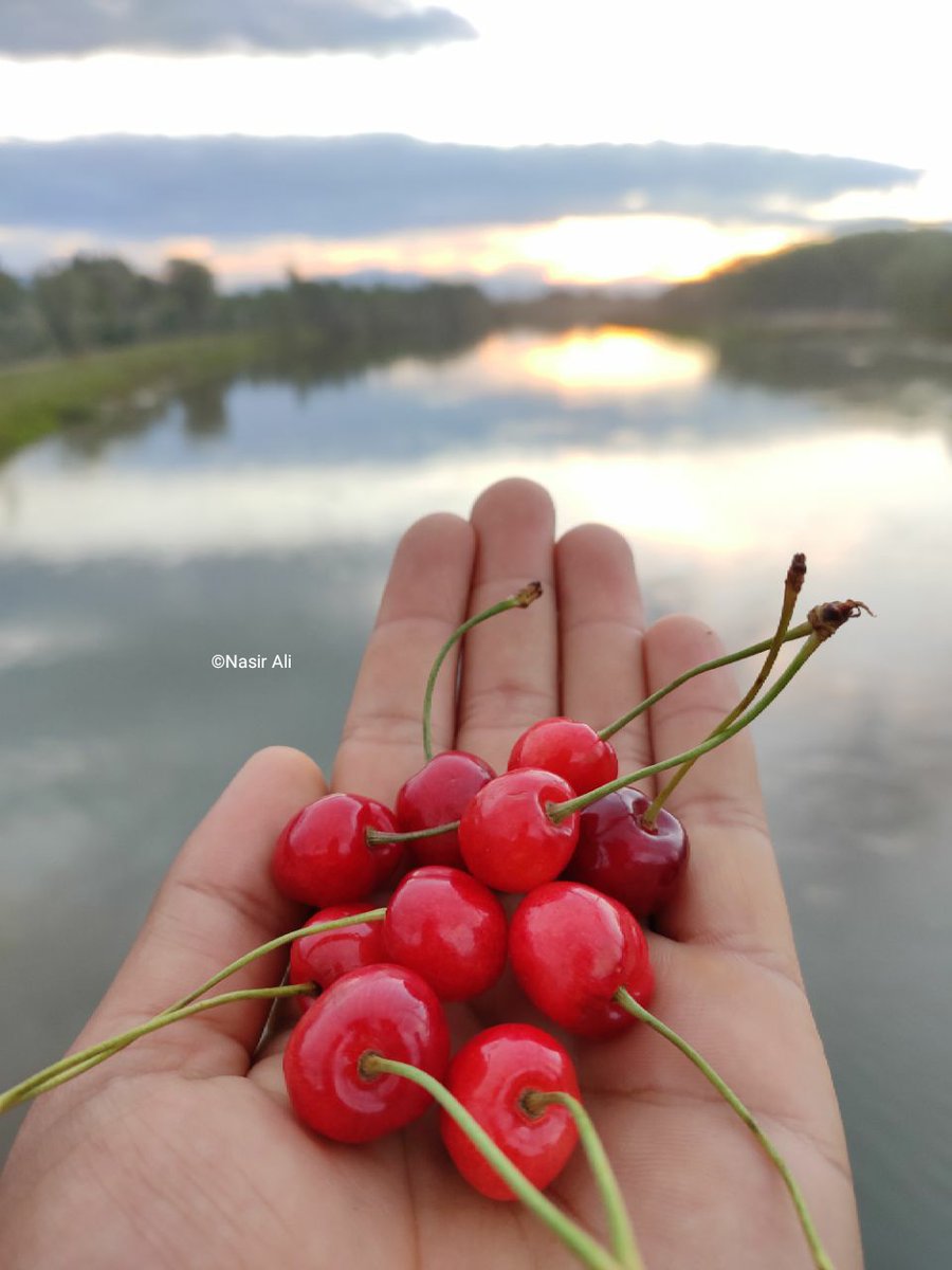daffodilinmoon's tweet photo. 🍒 https://t.co/dsZNVG7ujF