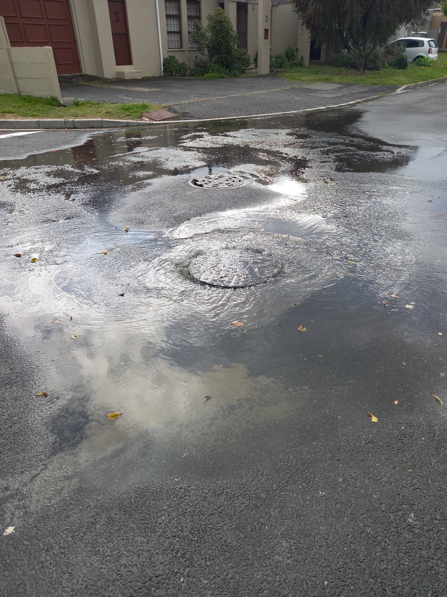 ThisIsMrsBsLife's tweet photo. @CityofCTAlerts  logged Service Request 9109353990 for Sewer: Blocked/Overflow has been logged.
Yesterday. Pls send someone asap. Its now having a ripple effect and other drains also over flowing. https://t.co/3YmYsf0VYe