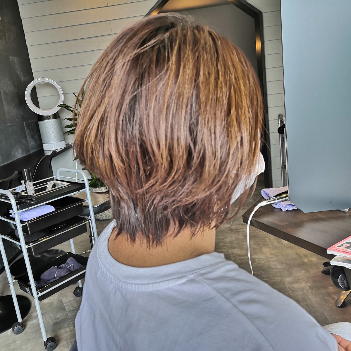 ウルフショート