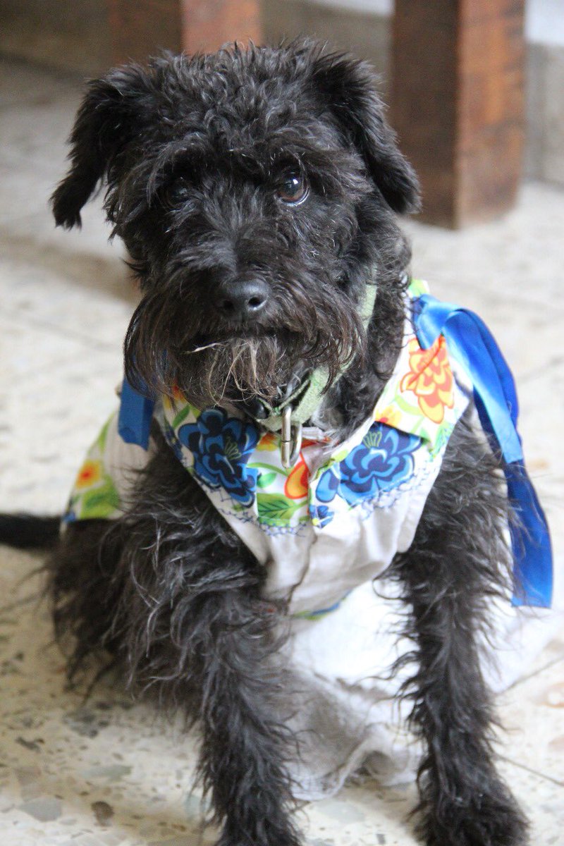 Eduardo Walsh tweet media