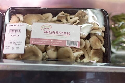 @zfu_official @MaminiminiObert @AmandlaBrands @shiftorganics @deMarcoshamu @AgriMarketing @RuramisoM @QuickFresh2 @GreenWorksZW @SaberstianZW @CooperZimbabwe @peezack @wamamboDee Oyster mushroom @ USD 0.70 equivalent