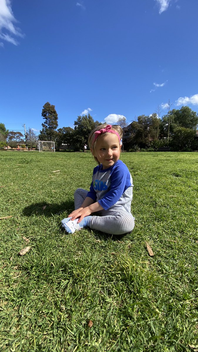 SimGuruIlya tweet media