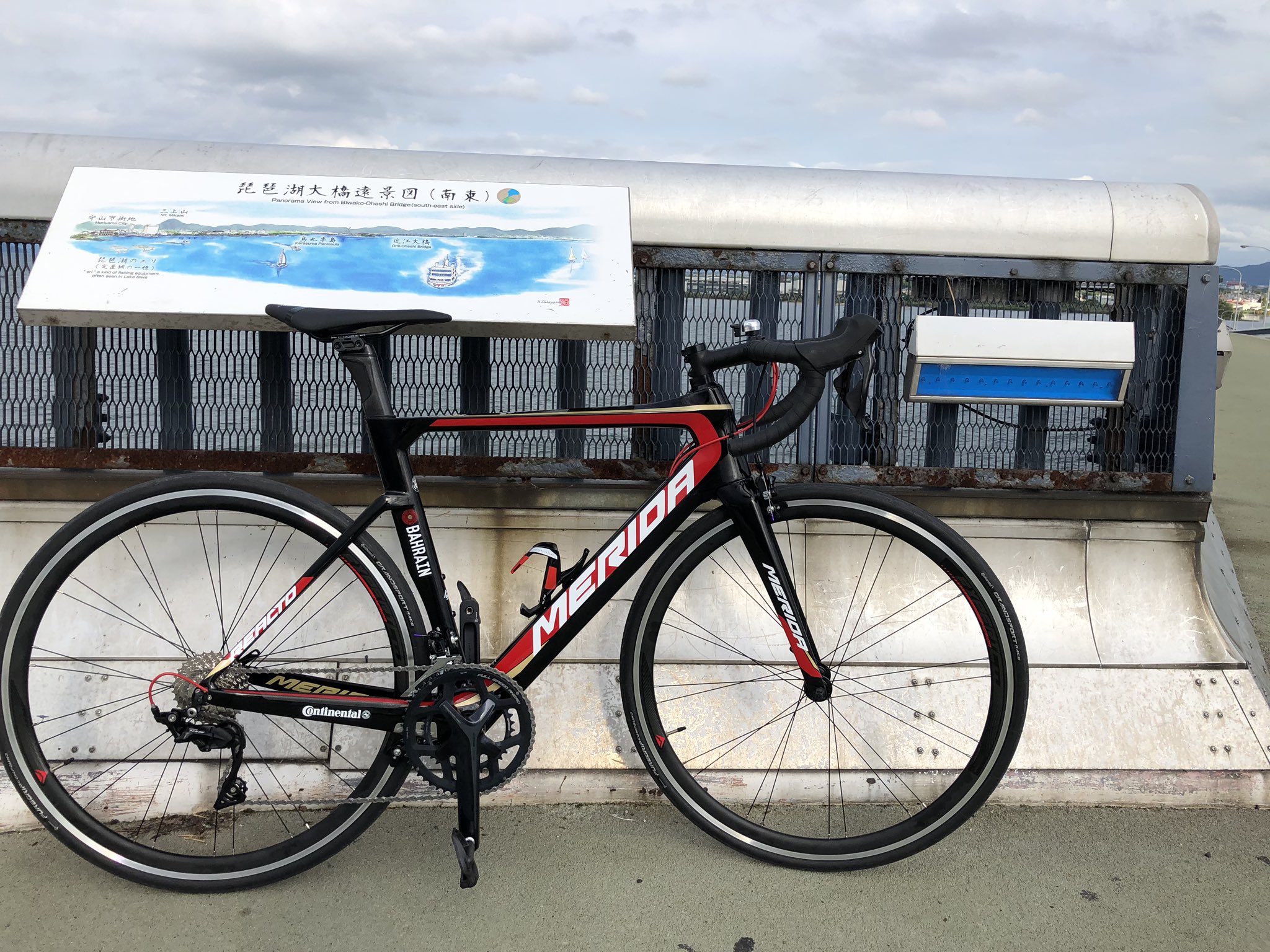 MERIDA REACTO4000フレーム 2019バーレーンカラー