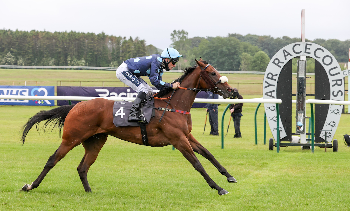 mdodsracing's tweet photo. Two runners today. Que Amoro goes to @curraghrace for the Group 1 Derrinstown Flying Five Stakes with @PMulrennan riding. Cold Light of Day heads to the all-weather at @WolvesRaces with @CallumRodrigue4 in the plate. Good luck to connections. https://t.co/5mgtIadlmO