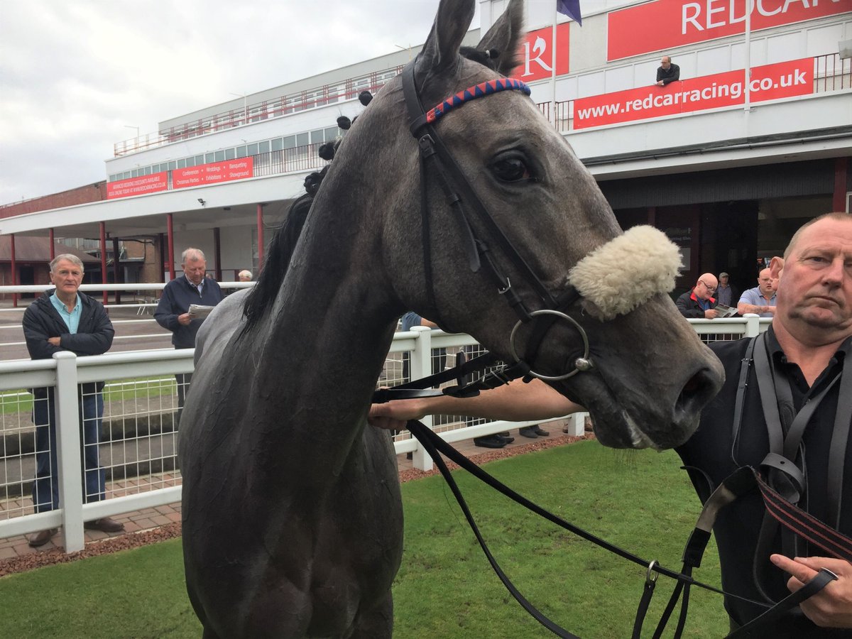 mdodsracing's tweet photo. Two runners today. Que Amoro goes to @curraghrace for the Group 1 Derrinstown Flying Five Stakes with @PMulrennan riding. Cold Light of Day heads to the all-weather at @WolvesRaces with @CallumRodrigue4 in the plate. Good luck to connections. https://t.co/5mgtIadlmO