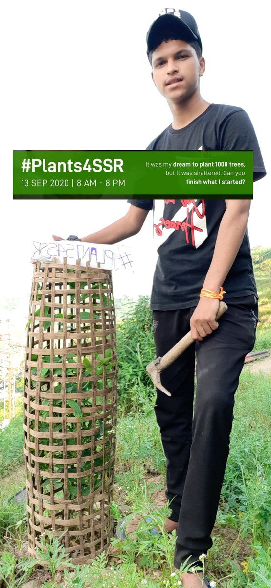 #Plants4SSR @shwetasinghkirt @nilotpalm3 globalprayers4ssr #sushantsinghrajput #sushantsingh #sushant #warriors4ssr #sushantlover #dilbechara #iamwithyousushant #bestactori̇nworld #justiceforsushantsinghrajput #justice #peace #ssr #love #tree #follow #share #plants #nature