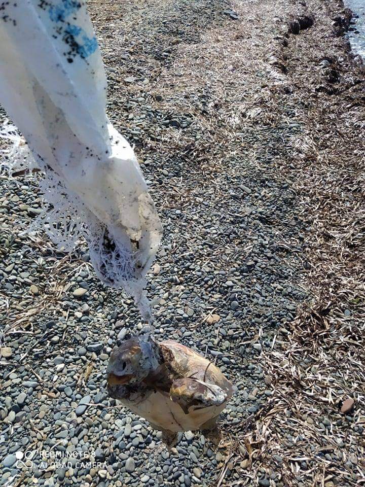 Εντάξει μωρέ, μια πλαστική σακούλα σιγά τι έγινε!
Ιδού τι έγινε 👇
Η φώτο σημερινή στον Πωμό 
Μαζεύετε τα σκουπίδια σας (και των άλλων)