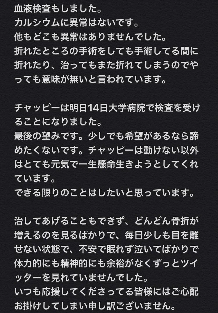可愛い愛猫が原因不明の骨折を繰り返す・どなたか情報をお持ちの方いませんか？