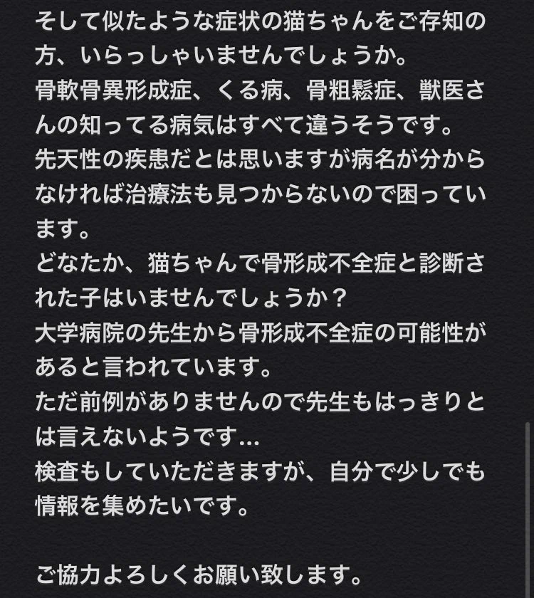 可愛い愛猫が原因不明の骨折を繰り返す・どなたか情報をお持ちの方いませんか？
